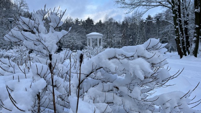 Park Zielona w Dąbrowie Górniczej w zimowej odsłonie Zobacz kolejne zdjęcia/plansze. Przesuwaj zdjęcia w prawo naciśnij strzałkę lub przycisk NASTĘPNE