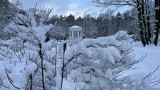 Park Zielona w Dąbrowie Górniczej pod białym puchem. Zobaczcie, jak wyglądają alejki, staw i mostki ZDJĘCIA