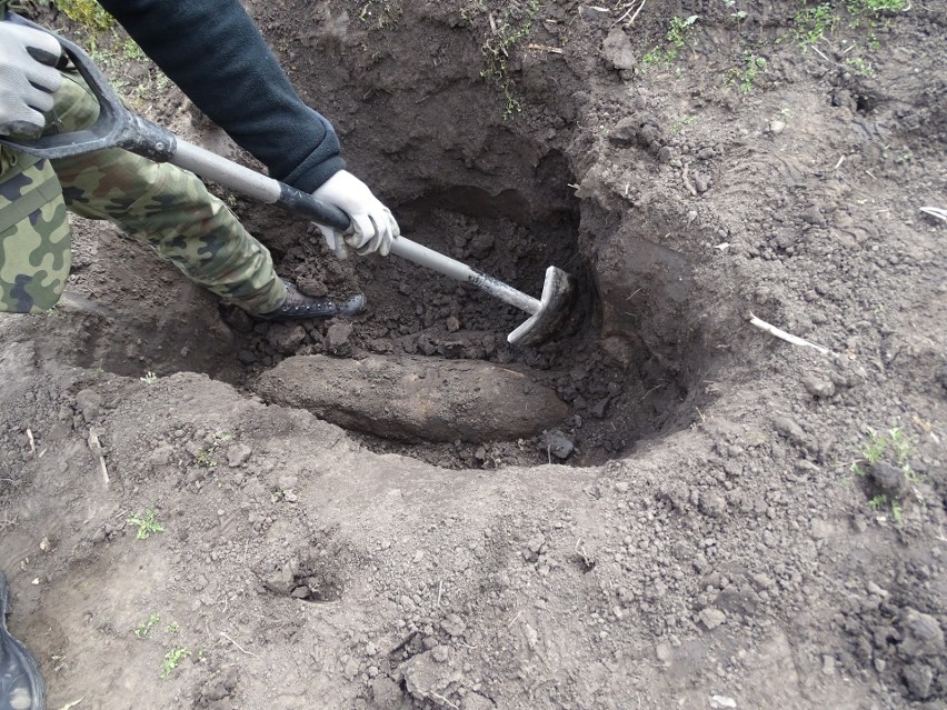 W ciągu niecałego miesiąca na terenie powiatów...