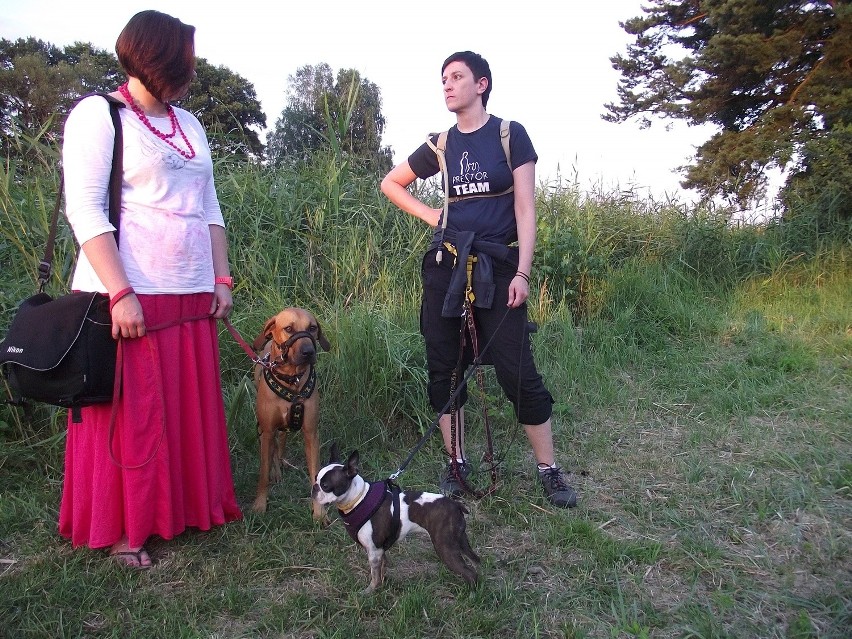 Nocny Puchar Polski w Dogtrekkingu odbył się w Kaletach