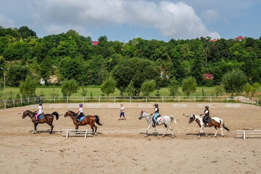 Obozy jeździeckie tego lata po raz pierwszy w Bałtowie (zdjęcia)