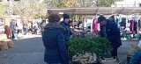 Ceny warzyw i owoców na targowisku w Jędrzejowie. Ile trzeba było zapłacić w czwartek, 9 listopada? Zobacz zdjęcia