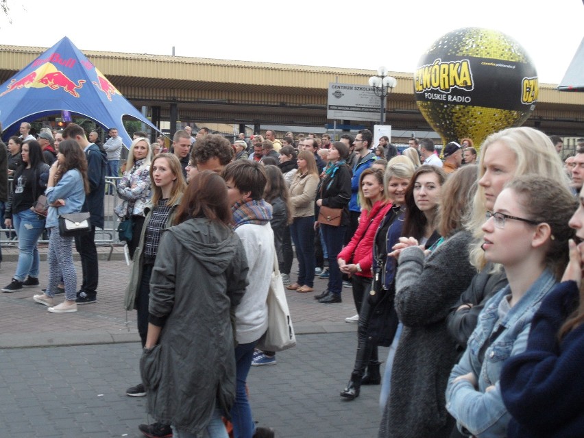 Festiwal Frytka OFF zakończony zobacz ZDJĘCIA