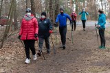 Z Bydgoskim Klubem Nordic Walking uczyli się maszerować z kijkami w Myślęcinku [zdjęcia] 