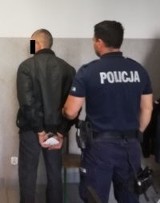Łódzkie. Policjanci zatrzymali w Pabianicach 41-letniego włamywacza. Ukradł elektronarzędzia. Część łupu odzyskano 