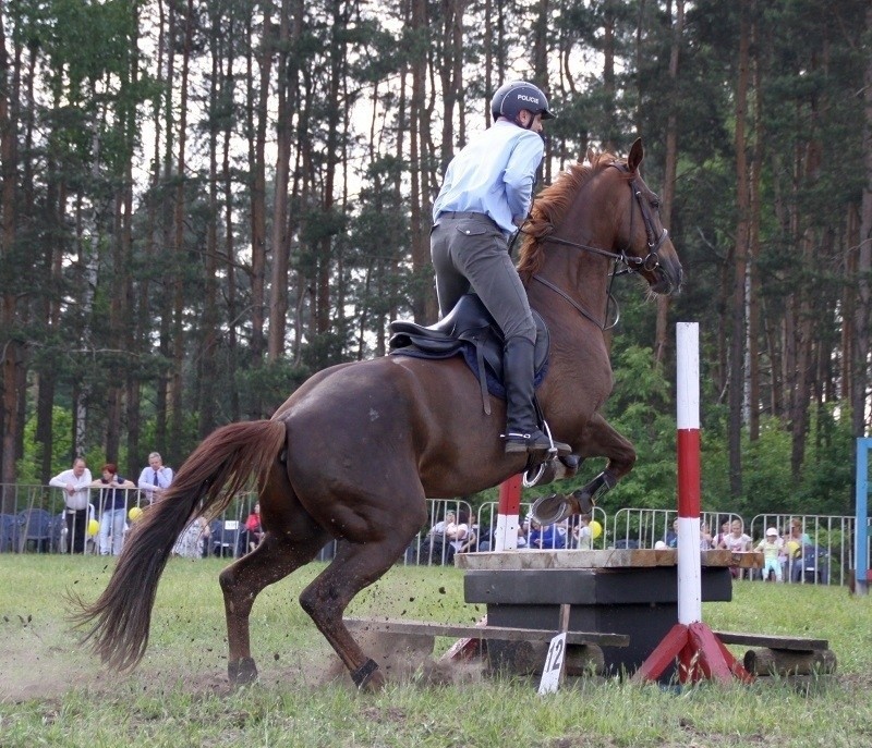 XIII Międzynarodowy Turniej Policji Konnej w Częstochowie [ZDJĘCIA, WYNIKI]