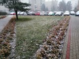 Pogoda na Boże Narodzenie 2020/2021 w Polsce. Prognozy pogody na święta, sylwester i Nowy Rok. Raczej jesień niż zima 21.12.20