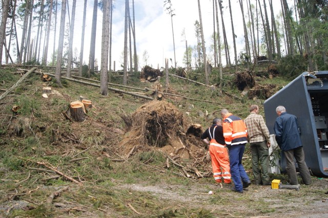 We wtorek w rejonie Wyżnych Hag w Tatrach trwało pierwsze sprzątanie drzew, jakie zwalił huragan