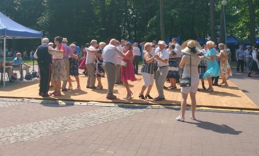 Radosne Dni Przysuchy - w niedzielę można było tanecznie spędzić czas w miejskim parku