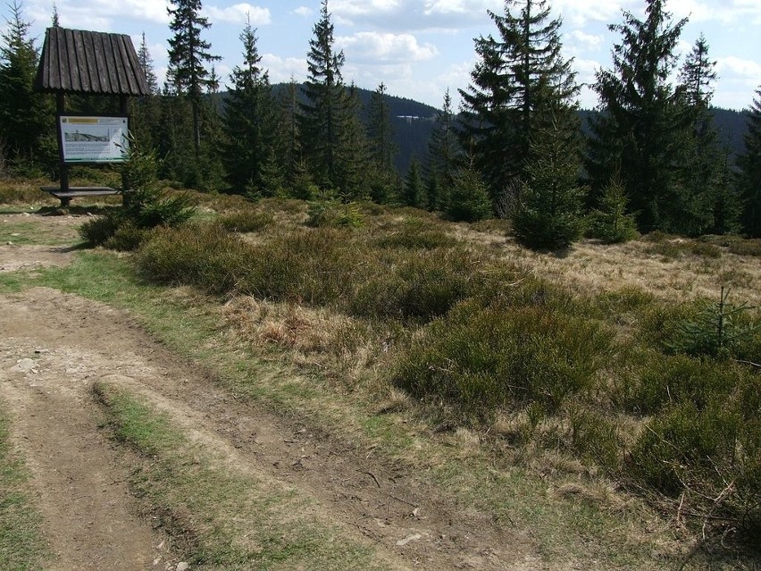 3. Szlak zielony: Koniki - Tobołów - Obidowiec - Stare...