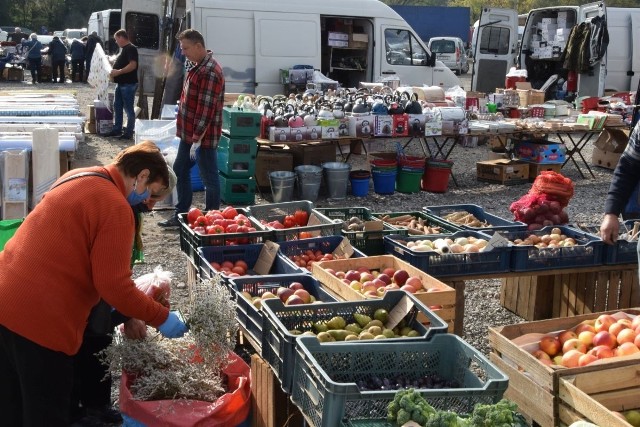 W środę 7 października warto było wybrać się na targ w Opatowie. Ceny większości produktów były dość niskie - znacznie niższe niż w okolicznych miastach, Ostrowcu, Starachowicach, Sandomierzu czy Kielcach. Znacznie tańsze były kalafiory, jabłka, rzodkiewka, cebula czy marchewka.Zobaczcie ceny najpopularniejszych owoców i warzyw na targowisku w Opatowie w środę 7 października