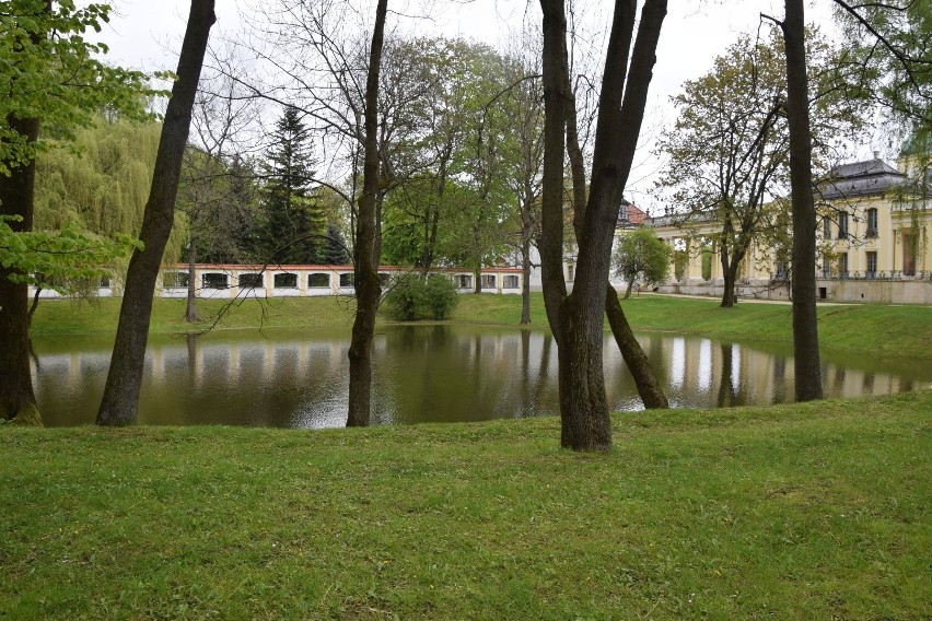 Pałac Branickich w Białymstoku. Niecka przy ogrodach zaraz...