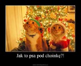 Memy na Boże Narodzenie. Najlepsze śmieszne obrazki i zdjęcia na święta