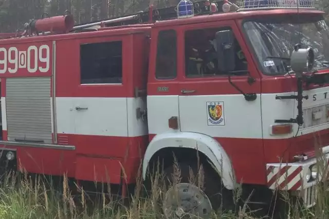 Grzybiarz zaginął w lesie rejonie Chocianowic.