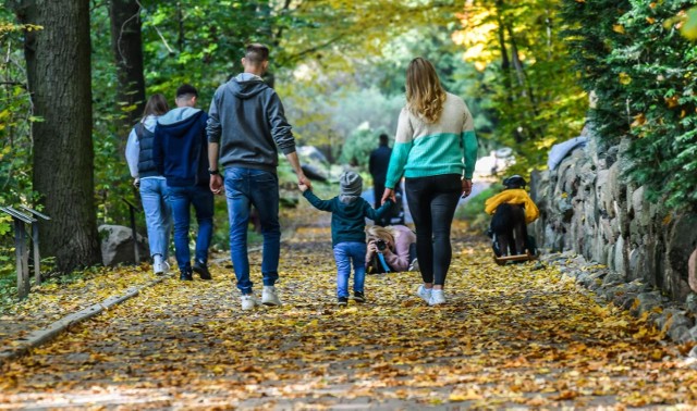 W weekend w całym kraju duże zachmurzenie. Wszystkich Świętych bez opadów deszczu