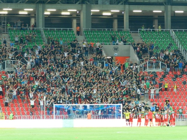Kibice na meczu GKS Tychy - Wisła Puławy 0:2