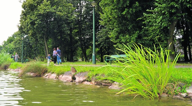 Nad Zalewem Nowohuckim spacerują i wypoczywają całe rodziny. To popularne miejsce także dla biegaczy czy rolkarzy