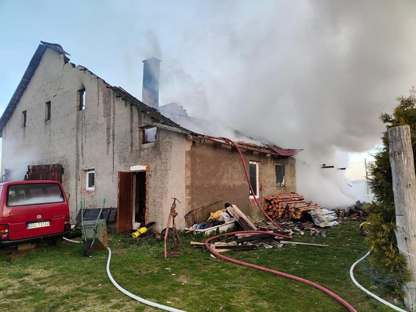 Pożar budynków gospodarczych w powiecie choszczeńskim. Zginęły konie