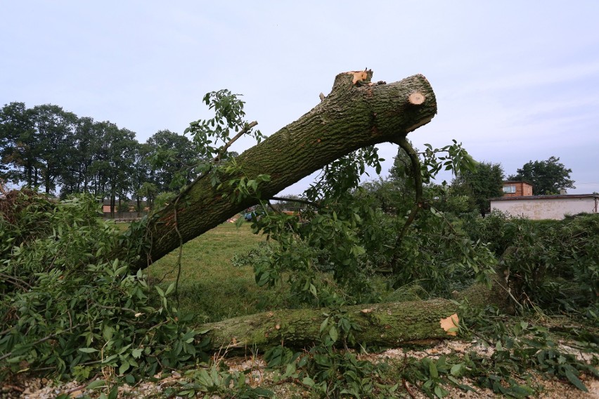 Burza w Łodzi. Nawałnica nad Łodzią. Powalone drzewa, gałęzie na drogach, zalane ulice [ZDJĘCIA]