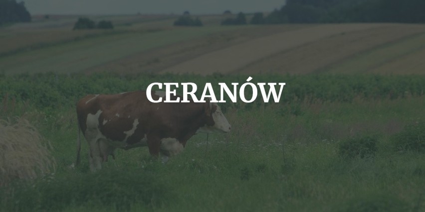 8. Ceranów...