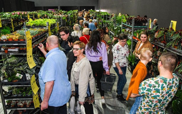 W sobotę (22 kwietnia) i niedzielę (23 kwietnia) w Bydgoskim Centrum Targowo-Wystawienniczym przy ul. Gdańskiej 187 odbywa się wielki targ roślin doniczkowych w Bydgoszczy.