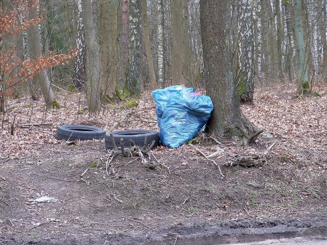Śmieci na trasie Koszalin - Sianów.