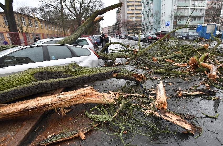 Wichura nad Szczecinem [4.03.2019 r.] Drzewa łamały się jak zapałki [WIDEO, ZDJĘCIA]