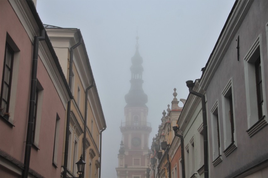 Czarodziejski Zamość. Stare Miasto wyglądało dziś rano jakby ktoś otulił je watą. Zobacz zdjęcia