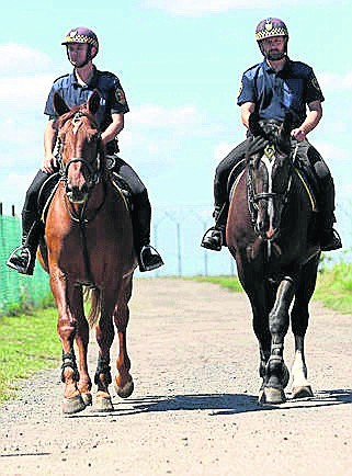 Teren wokół lotniska strażnicy na koniach patrolują każdego dnia.