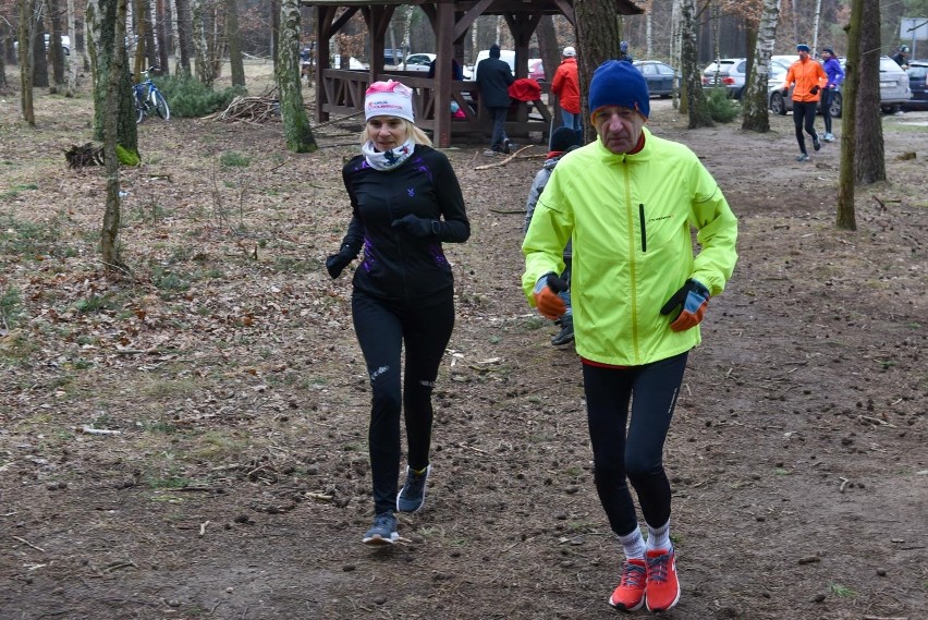 Parkrun Toruń - zobacz zdjęcia z sobotniego biegu [5.03.2022]