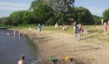 Woda w Narwi w Ostrołęce zdatna do kąpieli. Można korzystać z plaży