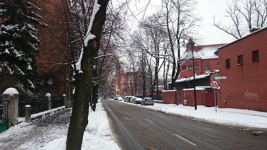 Siemianowice Śląskie zimą [ZDJĘCIA]