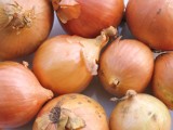 Przepisy kulinarne czytelników: Syrop z cebuli