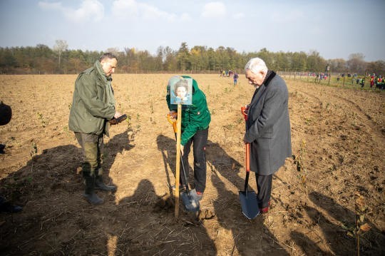 Krakowianie posadzili 25 tys. drzew z okazji Nobla dla Olgi Tokarczuk [GALERIA]