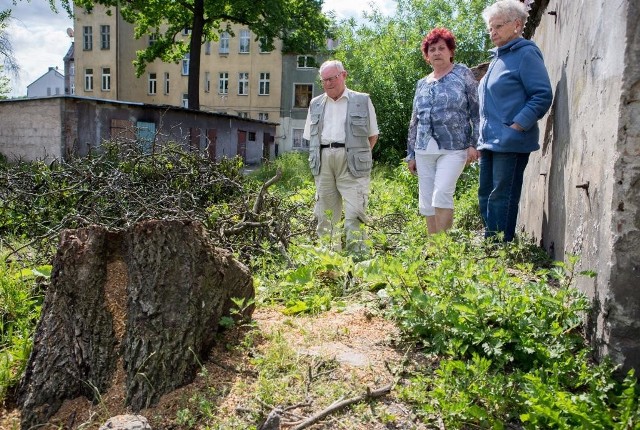 Mieszkańcy z ul. Wojska Polskiego poinformowali nas, że wycięto zdrowe drzewo. Urzędnicy mówią, że ich zgoda nie była konieczna