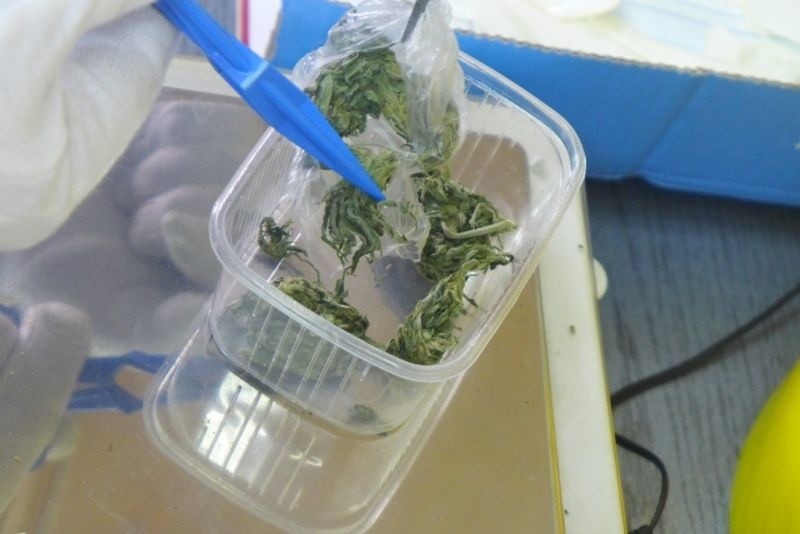 Blisko 140 gramów marihuany znaleźli policjanci z Lubska w...