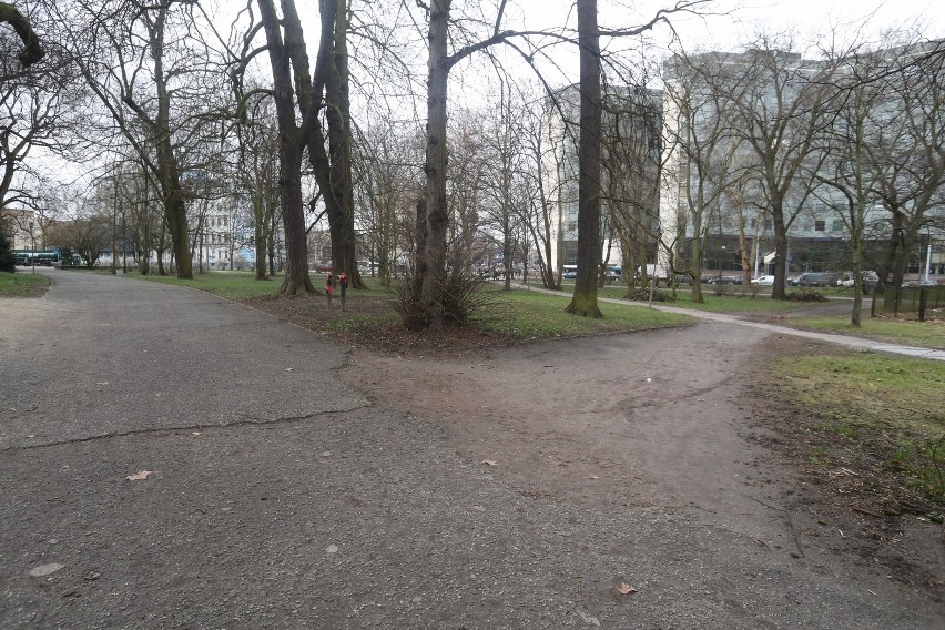 Remont alejek w Parku Żeromskiego w Szczecinie. Dwie firmy są chętne [ZDJĘCIA]