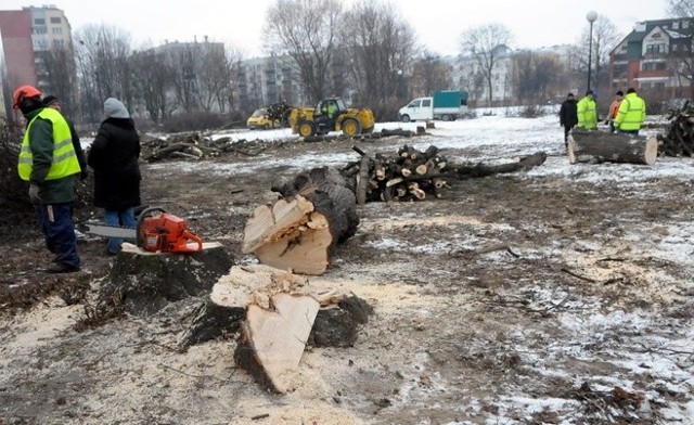 Do wycinki drzew na skwerzy przy ul. Walecznych doszło w lutym 2012 r.