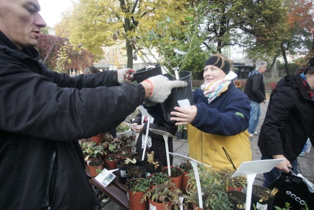 "Drzewko za makulaturę" już w sobotę!