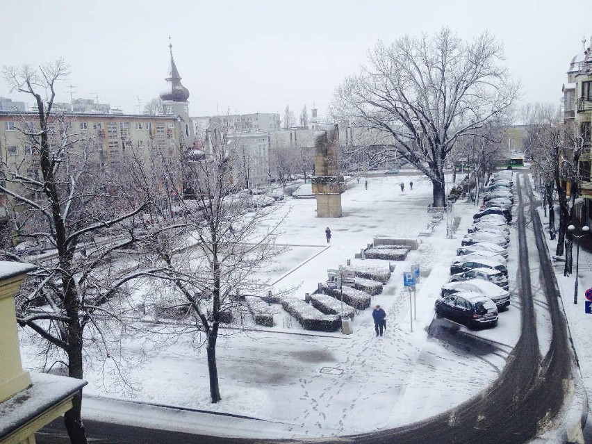 Powrót zimy w Lubuskiem? Na kilka dni przed świętami wielkanocnymi spadł śnieg (zdjęcia, wideo)