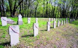 Poznań: Cmentarz na Cytadeli dla społeczników?