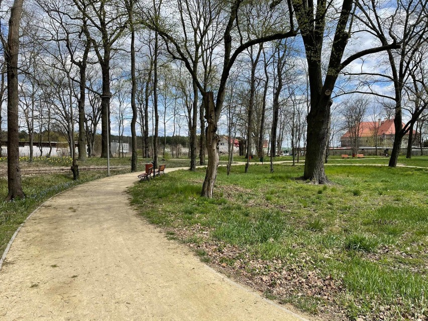 Park w Zielonej Górze Kiełpinie budzi się do życie po...