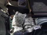 Kurier zatrzymany z narkotykami. Miał 6 kg marihuany! 