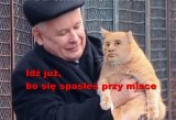 Zbigniew Ziobro. Memy o odejściu z rządu. Zjednoczona Prawica PiS z Solidarną Polską stanie się historią?