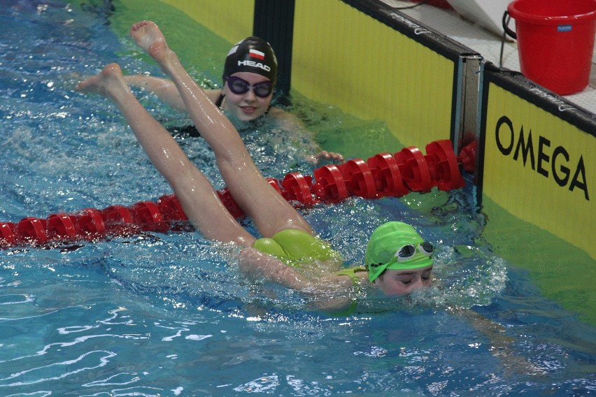 Termy Maltańskie: POZnan International Swimming Cup 2016