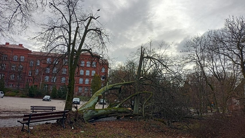 Zobaczcie zdjęcia Czytelników z Koszalina i regionu po...