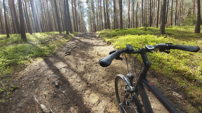 Asfaltowa ścieżka rowerowa i oznaczone leśne trasy dla cyklistów, to wszystko znajdziecie w gminie Łubniany