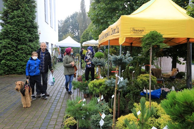 W Centrum targowym Park w Toruniu trwa dwudniowy jesienny kiermasz dla miłośników ogrodnictwa. W ofercie wydarzenia nie zabrakło niczego, co potrzebne jest działkowcom i miłośnikom ogrodów. Zobaczcie zdjęcia!