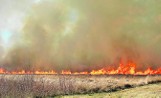 Spłonęły kolejne hektary traw w Nowej Dębie