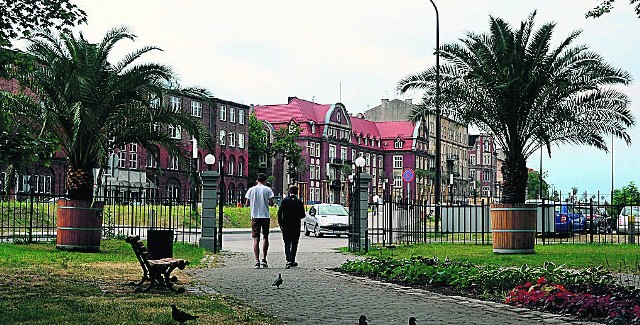 Palmy w parku Chopina. Tuż obok jest skwer, miejsce na miejską plażę, ale tam roślin nie ustawiono